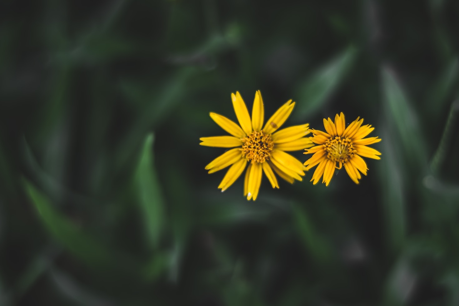 How Informative Content Can Transform Your Perspective